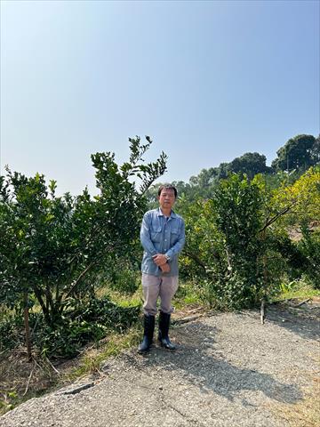 柳橙 產品圖片（圖片編號 662595）