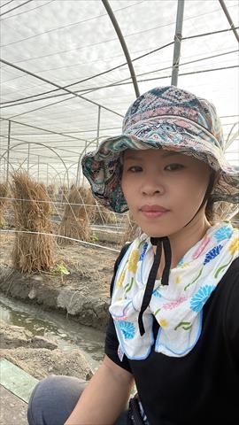 苦瓜 產品圖片（圖片編號 662634）