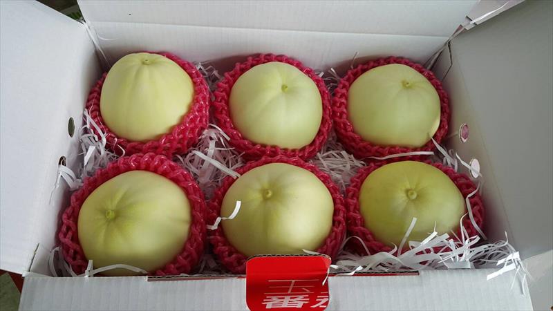 甜瓜 產品圖片（圖片編號 662654）