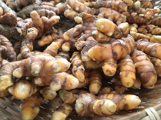 薑黃 產品圖片（圖片編號 662686）