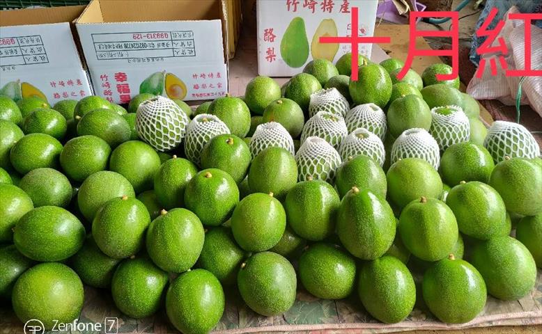 酪梨 產品圖片（圖片編號 663177）