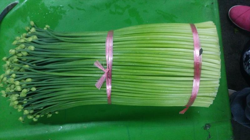韭菜花 產品圖片（圖片編號 664152）
