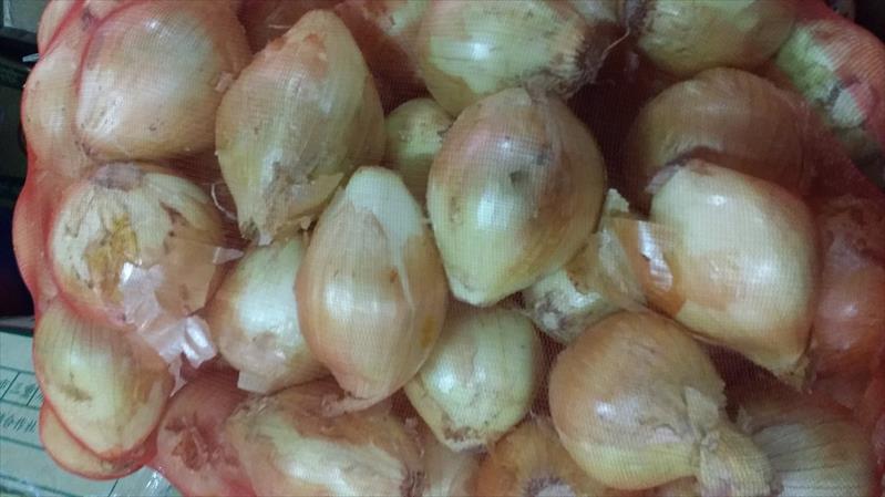 洋蔥 產品圖片（產品編號 494942）