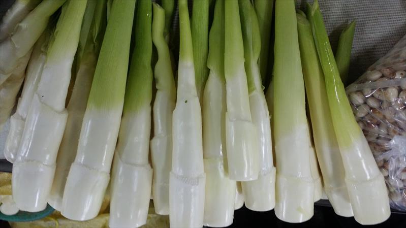 茭白筍 產品圖片（圖片編號 664154）