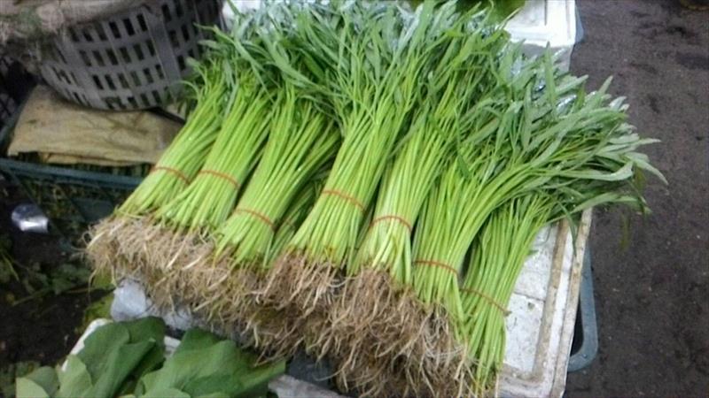 蕹菜(空心菜) 產品圖片（圖片編號 666378）