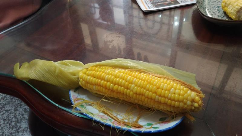 食用玉米(含玉米筍) 產品圖片（圖片編號 666412）