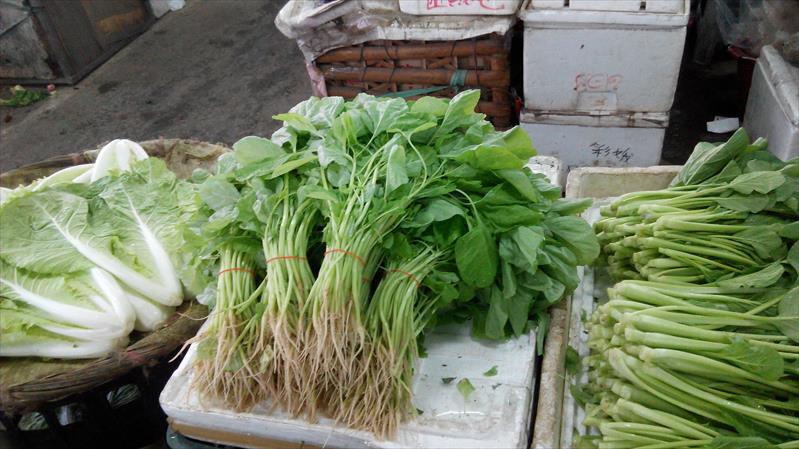 莧菜(刺莧菜) 產品圖片（圖片編號 666417）