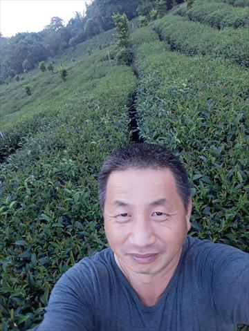 茶製品-茶 產品圖片（圖片編號 666556）