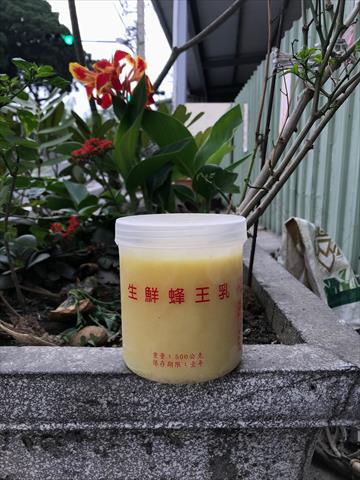 蜂產品-蜂王漿(乳) 產品圖片（產品編號 499932）