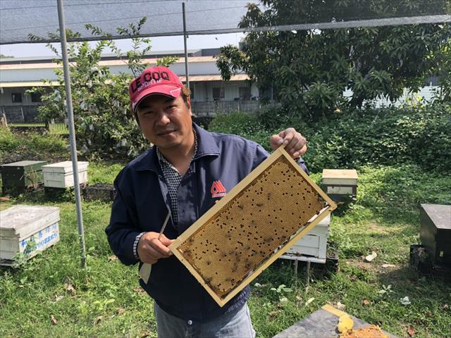 蜂產品-蜂蜜 產品圖片（產品編號 500437）