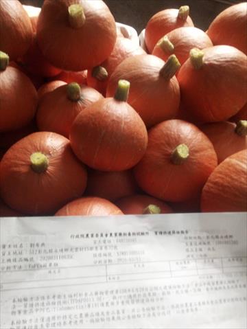 南瓜(金瓜) 產品圖片（圖片編號 672042）
