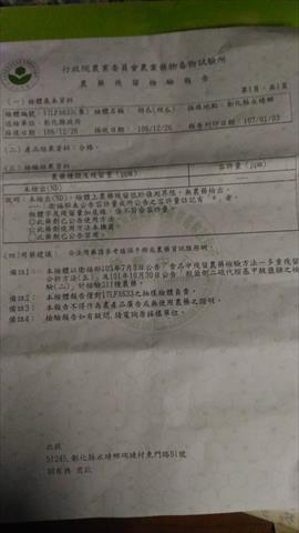 胡瓜(大黃瓜) 產品圖片（產品編號 500444）