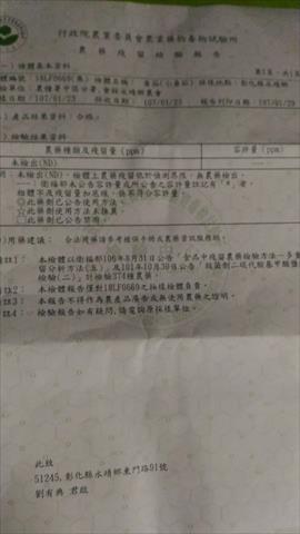 番茄(含小番茄) 產品圖片（圖片編號 672046）