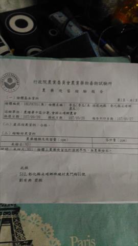 香瓜(美濃瓜) 產品圖片（圖片編號 672048）