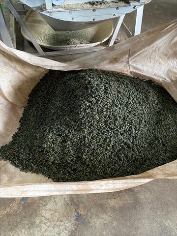 茶製品-茶 產品圖片（圖片編號 672867）