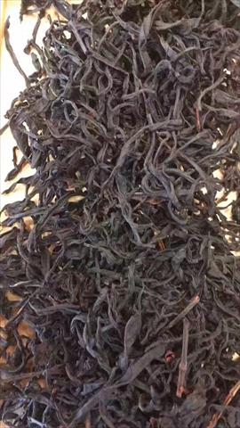 茶製品-茶 產品圖片（產品編號 500922）