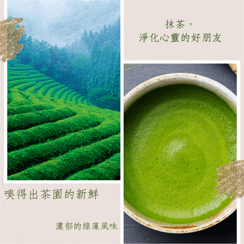 茶製品-茶 產品圖片（圖片編號 676536）