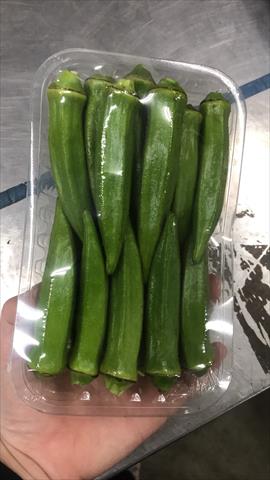 黃秋葵(羊角豆,秋葵) 產品圖片（圖片編號 679426）