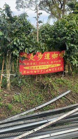 咖啡製品-咖啡 產品圖片（圖片編號 680516）