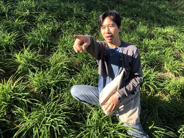 金針 產品圖片（產品編號 510119）