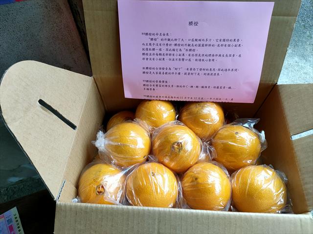 臍橙 產品圖片（圖片編號 687794）