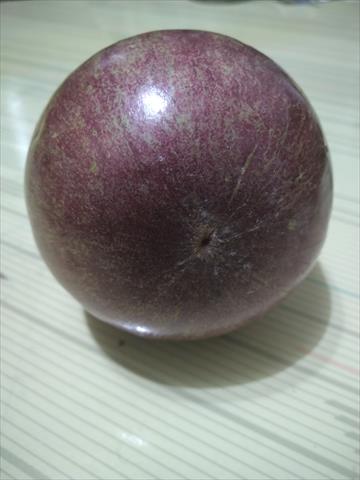星蘋果 產品圖片（圖片編號 688172）