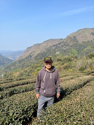 茶製品-茶 產品圖片（產品編號 511361）