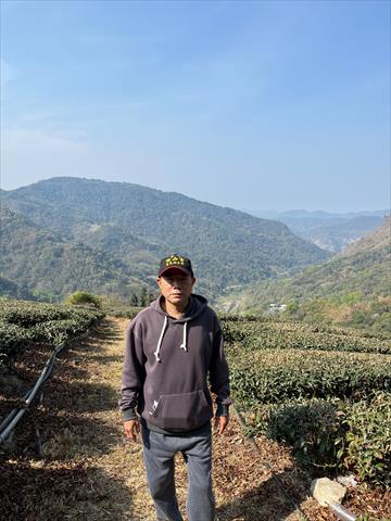 茶製品-茶 產品圖片（圖片編號 689461）