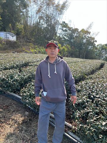 茶製品-茶 產品圖片（圖片編號 689462）