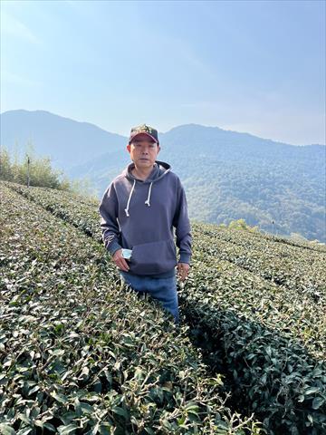 茶製品-茶 產品圖片（圖片編號 689463）