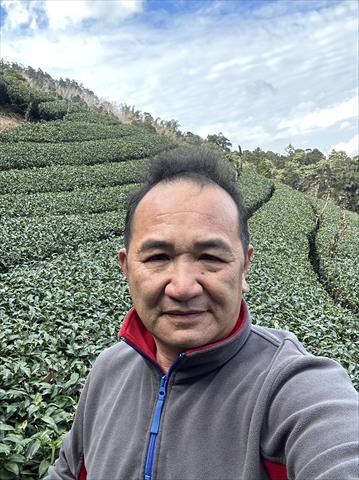 茶製品-茶 產品圖片（圖片編號 690224）