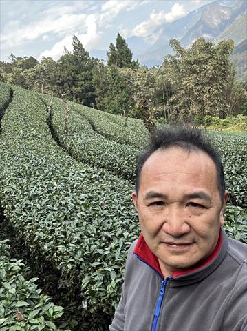 茶製品-茶 產品圖片（圖片編號 690225）