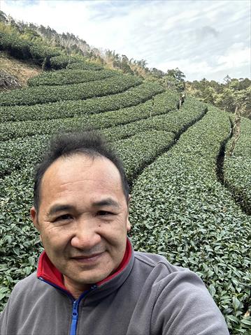 茶製品-茶 產品圖片（產品編號 511459）