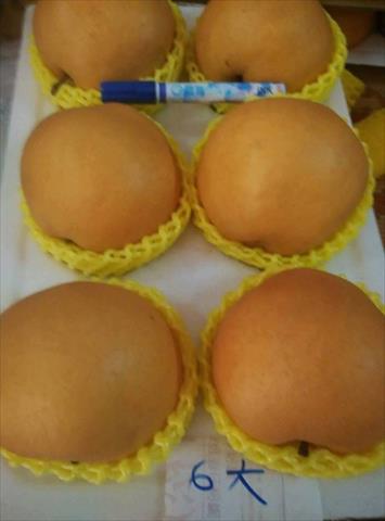 梨 產品圖片（產品編號 511477）
