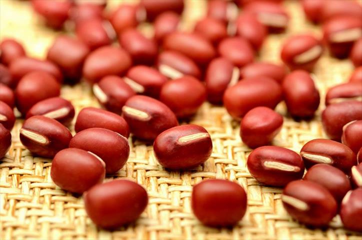 紅豆 產品圖片（產品編號 511523）
