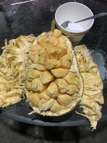 榴槤蜜 產品圖片（圖片編號 691795）