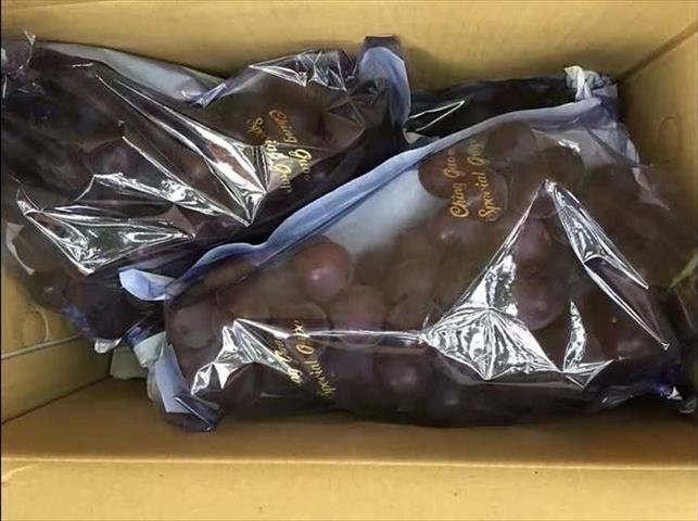 葡萄 產品圖片（圖片編號 693974）