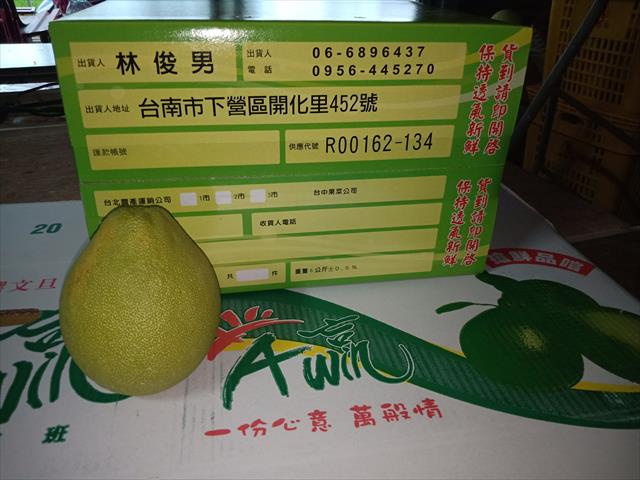 文旦柚 產品圖片（圖片編號 696708）