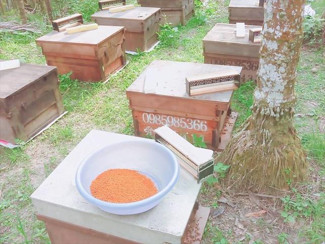 蜂產品-花粉 產品圖片（圖片編號 699688）