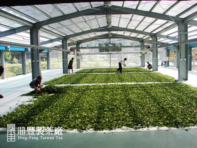 茶製品-茶 產品圖片（圖片編號 705487）