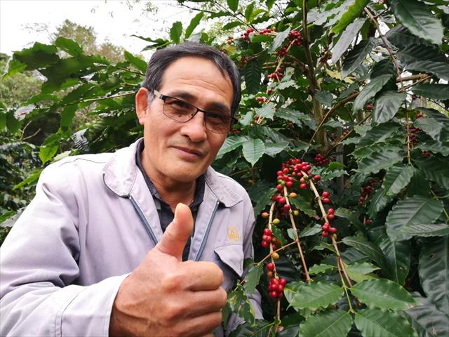咖啡製品-咖啡 產品圖片（產品編號 521141）