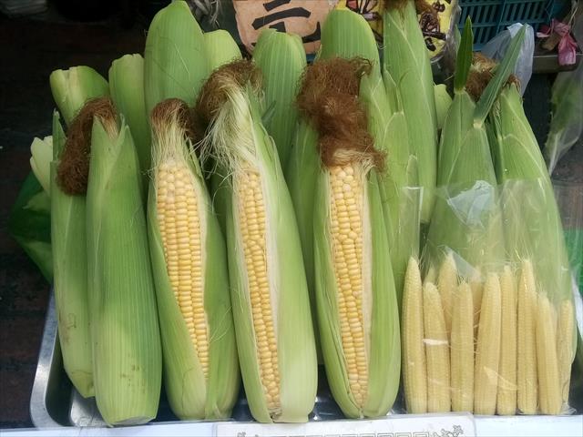 食用玉米(含玉米筍) 產品圖片（圖片編號 706551）