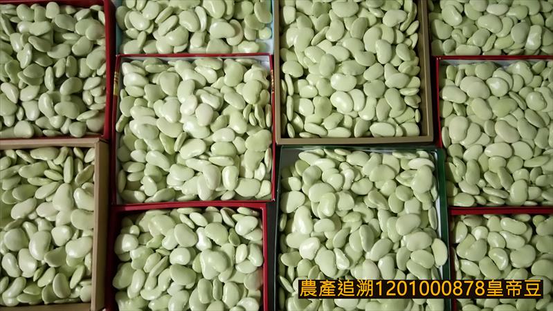 萊豆(皇帝豆) 產品圖片（圖片編號 706556）