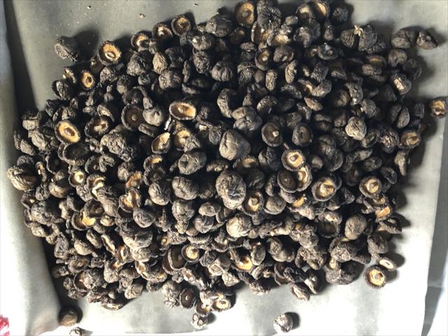 乾香菇製品-乾香菇 產品圖片（圖片編號 707591）