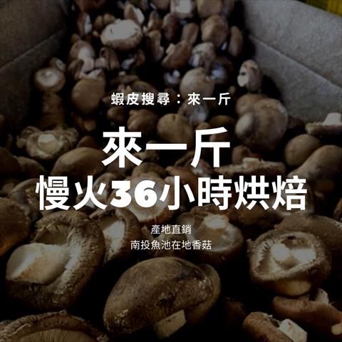 香菇 產品圖片（圖片編號 707596）