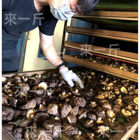 香菇 產品圖片（產品編號 521937）