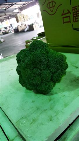 青花菜 產品圖片（圖片編號 709611）