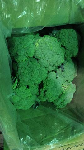 青花菜 產品圖片（圖片編號 709612）