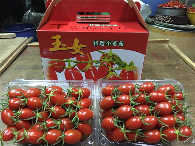 番茄(含小番茄) 產品圖片（圖片編號 710698）
