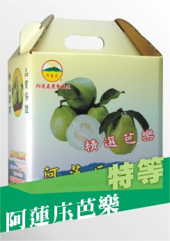 番石榴(芭樂) 產品圖片（產品編號 525494）